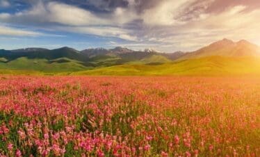 Valley of flower trek